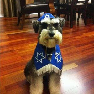 Meet your Posher, Dawn